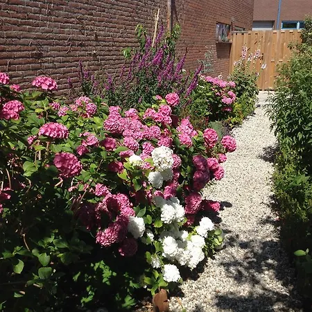 Bed & Breakfast Huis Op De Dijk Zaandam